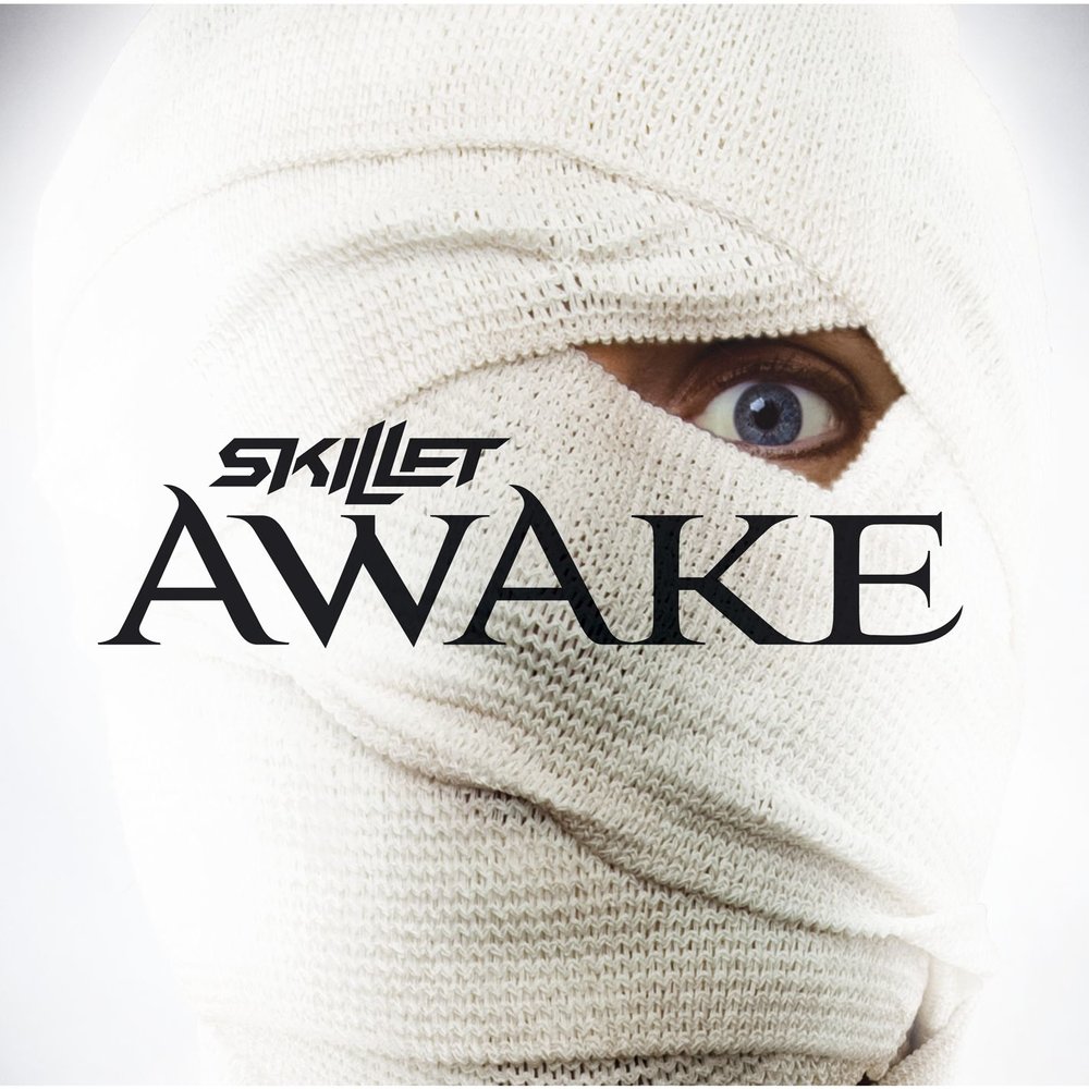 Skillet - Hero (1)