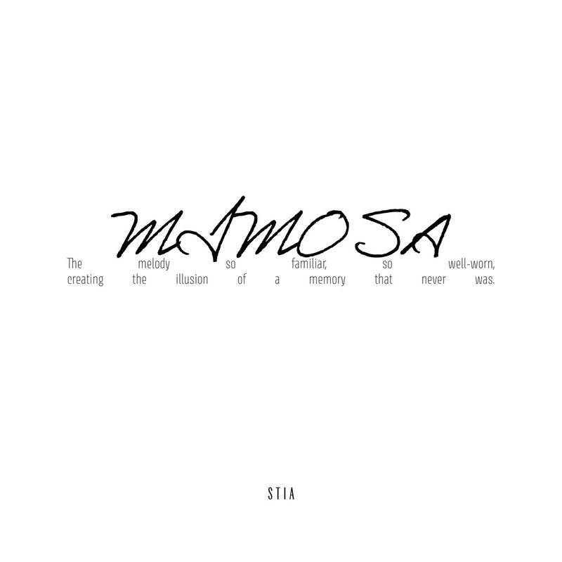 Stia - Mimosa