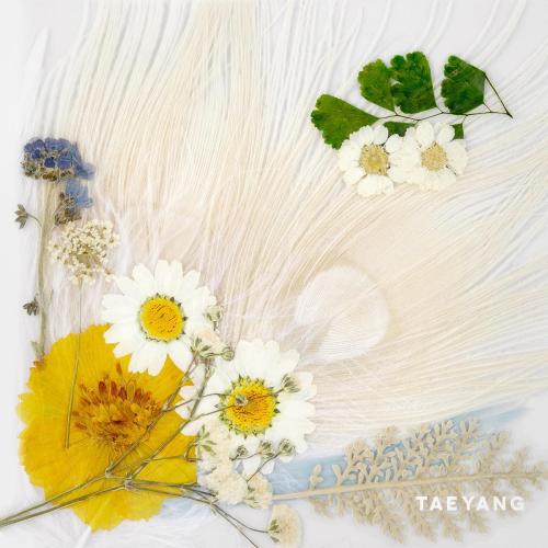 TAEYANG - WAKE ME UP