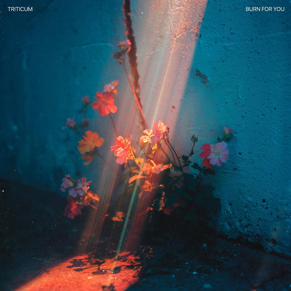 TRITICUM - Burn for You