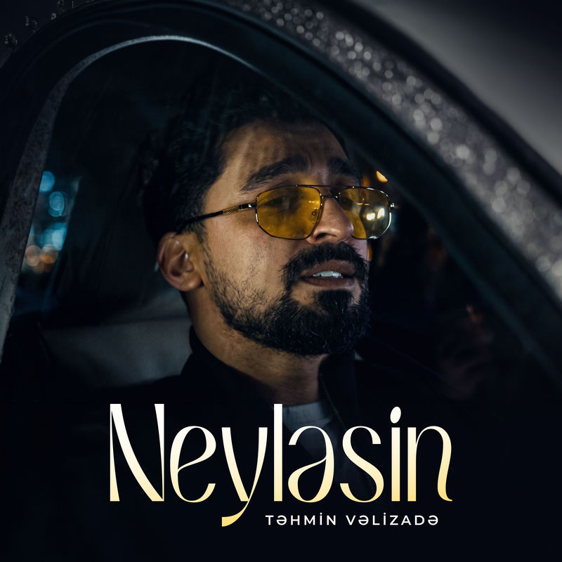 Təhmin Vəlizadə - Neyləsin