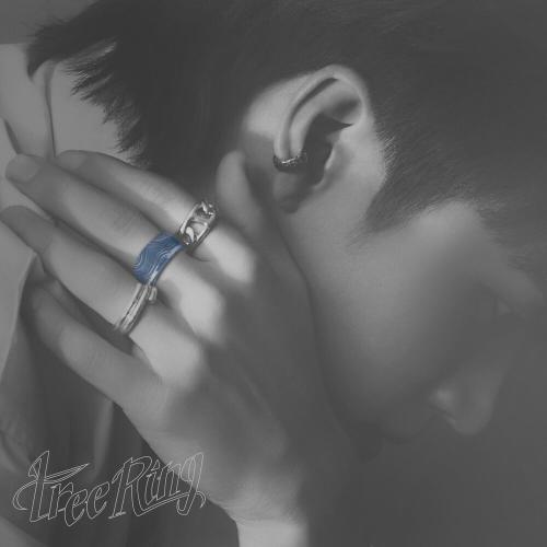 Woohyun - I'll Hug You Quietly