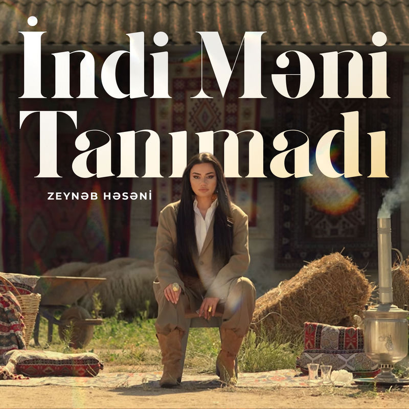 Zeynəb Həsəni - İndi Məni Tanımadı